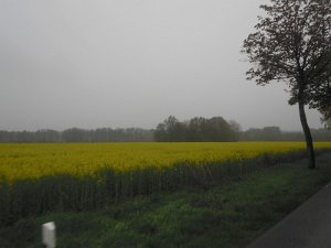 Buchholz 2010 053